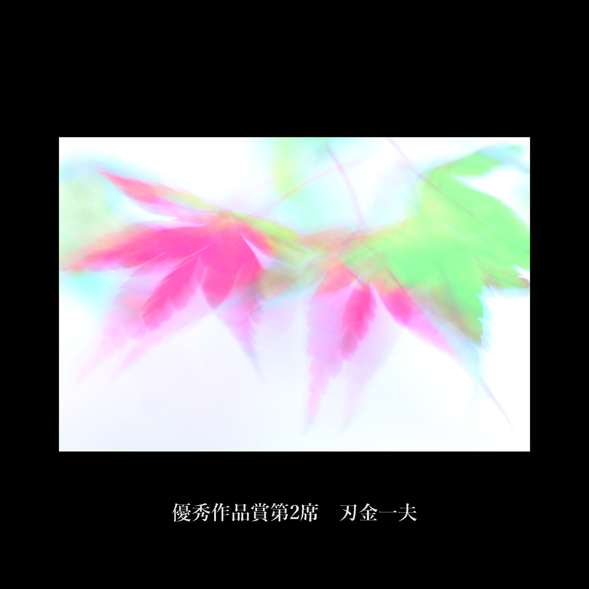 NxDGiܑ2