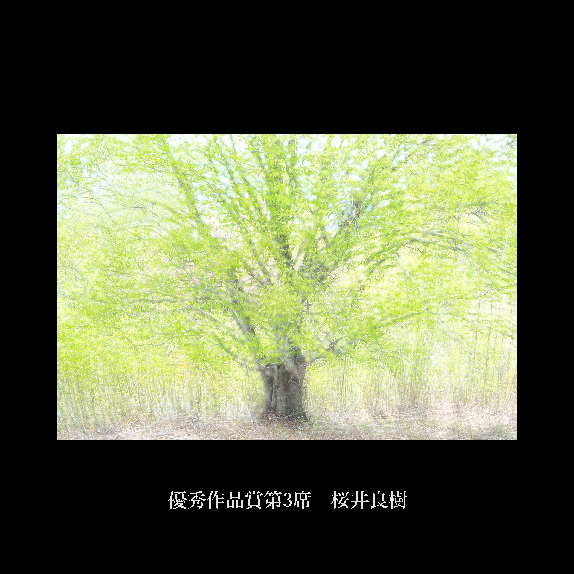 NxDGiܑ3